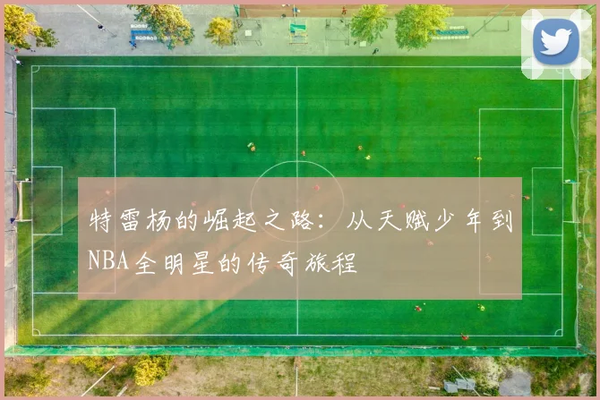 特雷杨的崛起之路：从天赋少年到NBA全明星的传奇旅程